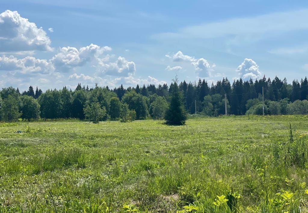 земля городской округ Клин д Марино Клин фото 4