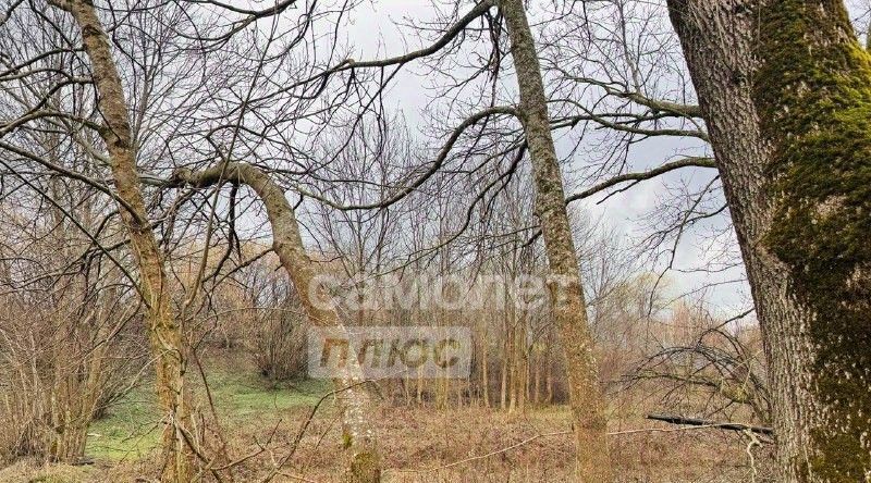 земля р-н Апшеронский ст-ца Ширванская ул Горького Новополянское с/пос фото 8