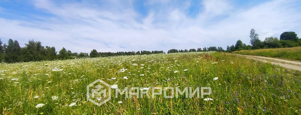 земля р-н Мценский д Бутики Чахинское сельское поселение фото 4