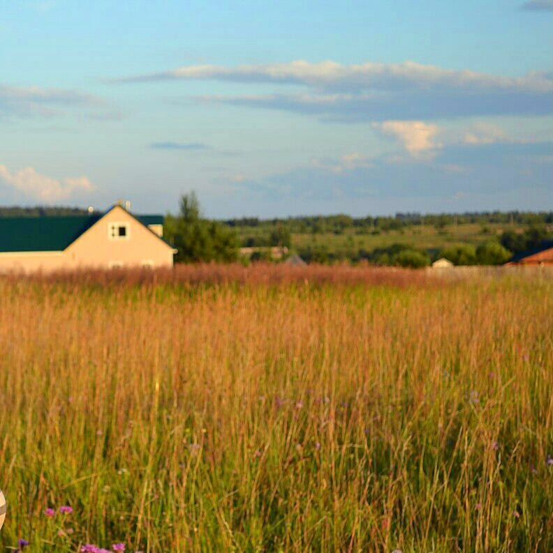 земля р-н Торжокский Торжок фото 1