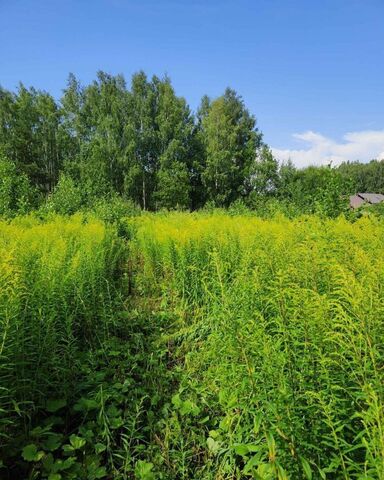 ул Советская 8 д. Кузнецово Кузнецовский сельсовет фото