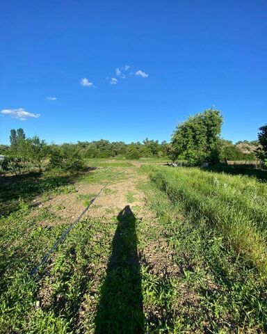 Дружненское сельское поселение, Белореченск фото