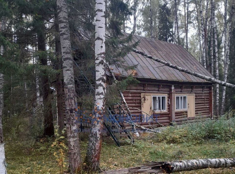 офис р-н Чкаловский п Школьный с пос, Чкаловск городской округ фото 4