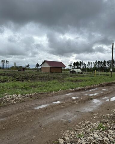 ул Рябиновая Каенлинское сельское поселение, Нижнекамск фото