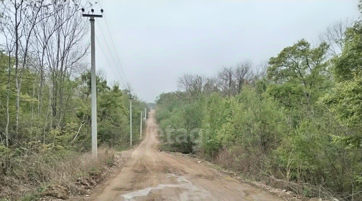 земля г Владивосток п Трудовое снт Актинидия Синяя сопка массив, 296 фото 13