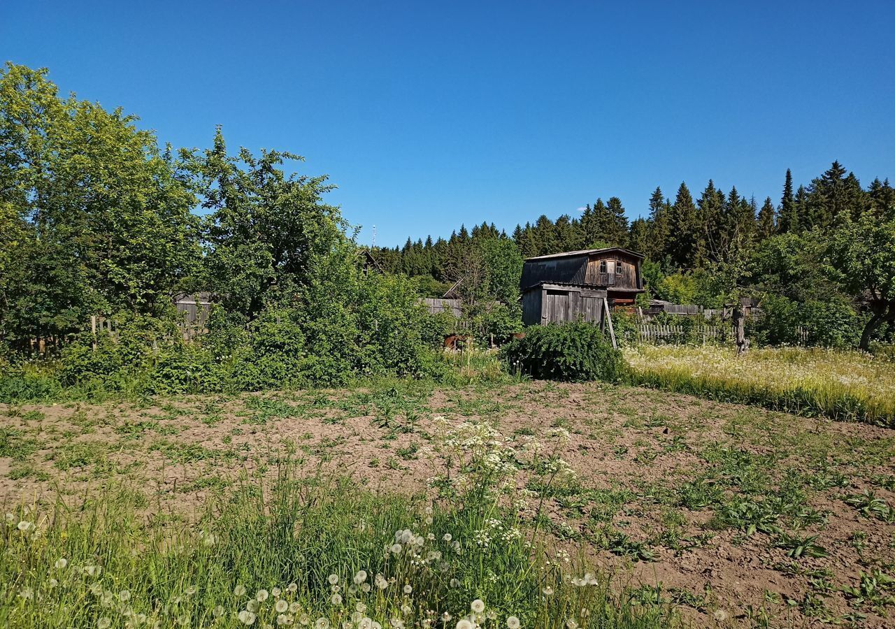 земля р-н Куменский пгт Кумены тер сдт Черемушки-2 50, Кумёнское городское поселение фото 3