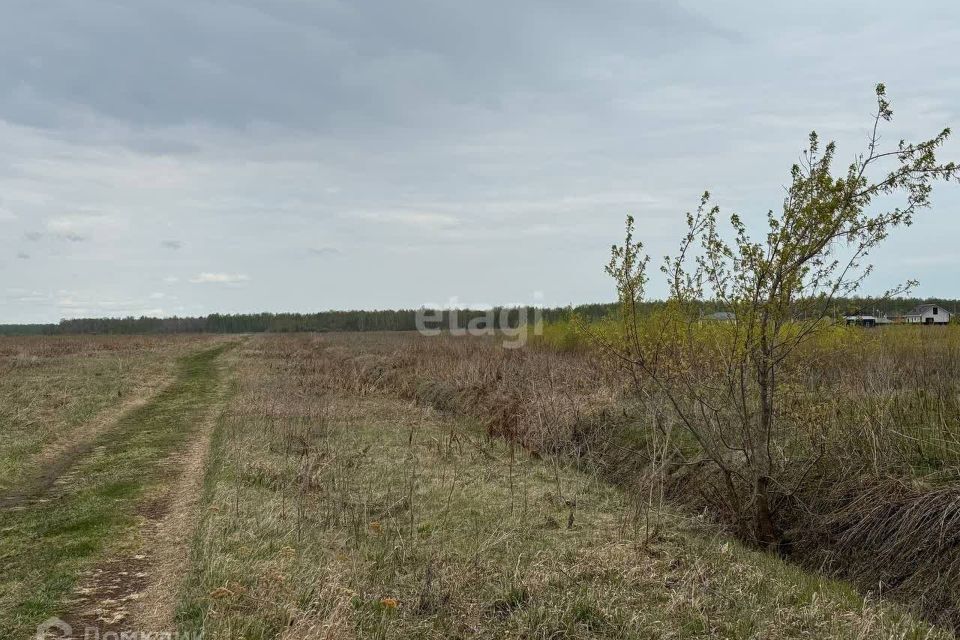 земля городской округ Солнечногорск деревня Марьино фото 3