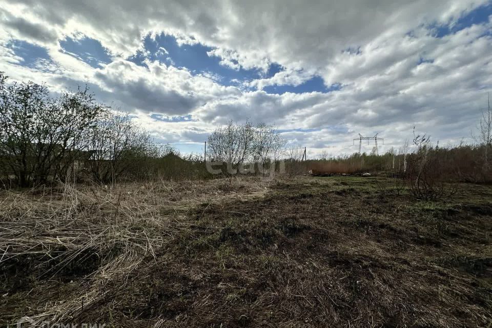 земля городской округ Раменский ДНП Поляна фото 5