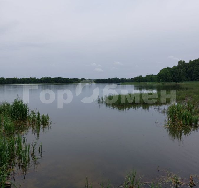 земля городской округ Раменский деревня Аргуново фото 2