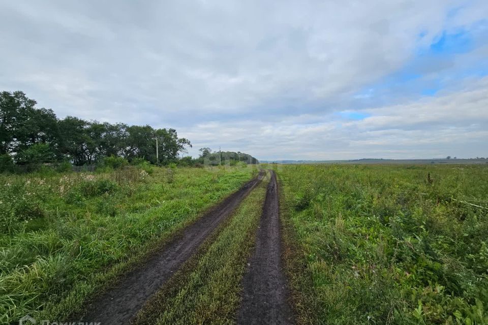 земля р-н Новокузнецкий с Бедарево ул Дружная фото 9