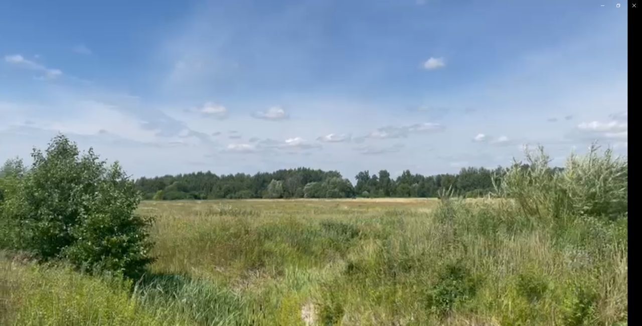 земля р-н Гурьевский п Сосновка Луговское сельское поселение, Калининград фото 2