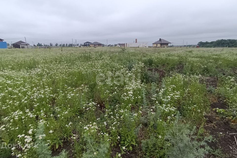 земля р-н Яковлевский село Вислое фото 1