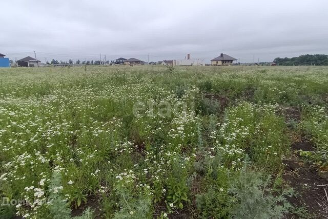 земля село Вислое фото