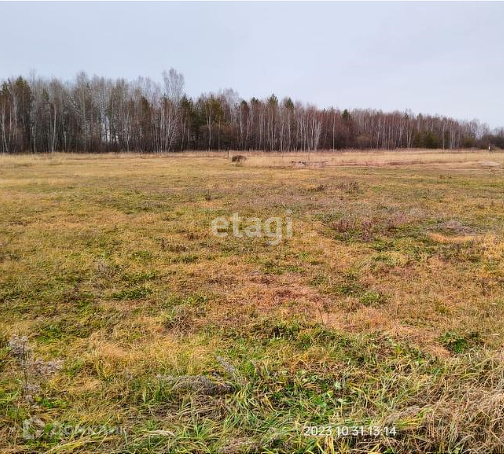 земля г Благовещенск ул Калинина городской округ Благовещенск фото 1