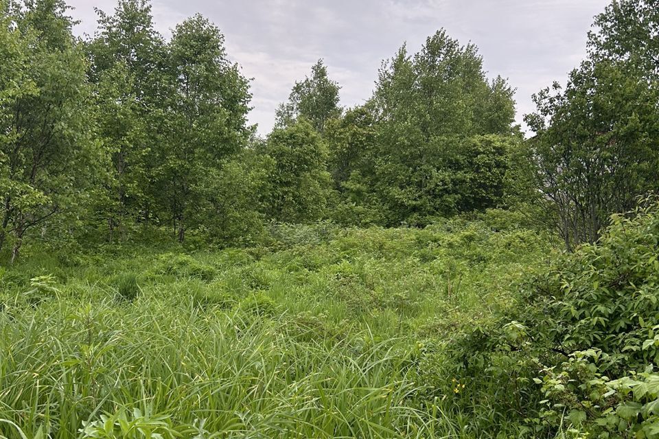 земля г Южно-Сахалинск городской округ Южно-Сахалинск, СНТ Скиф фото 1