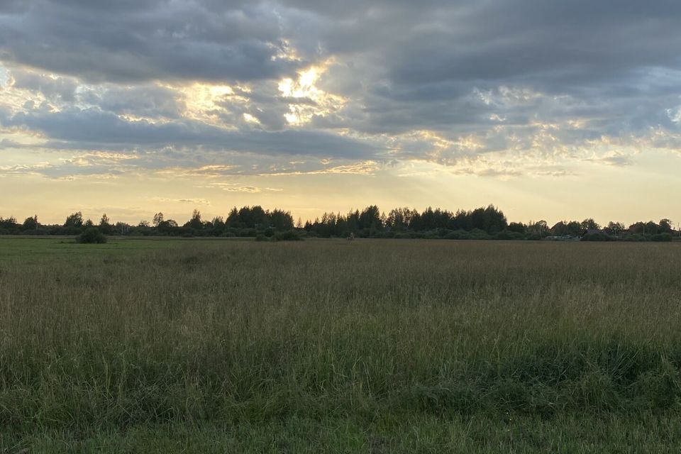 земля р-н Чудовский поселок Селищи фото 1