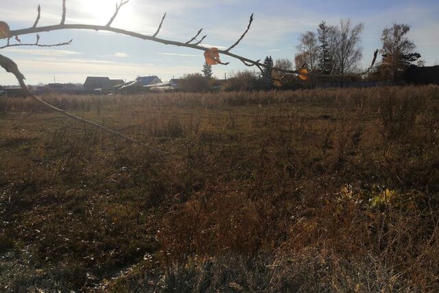 городской округ Магнитогорск, садовое товарищество Дружба фото