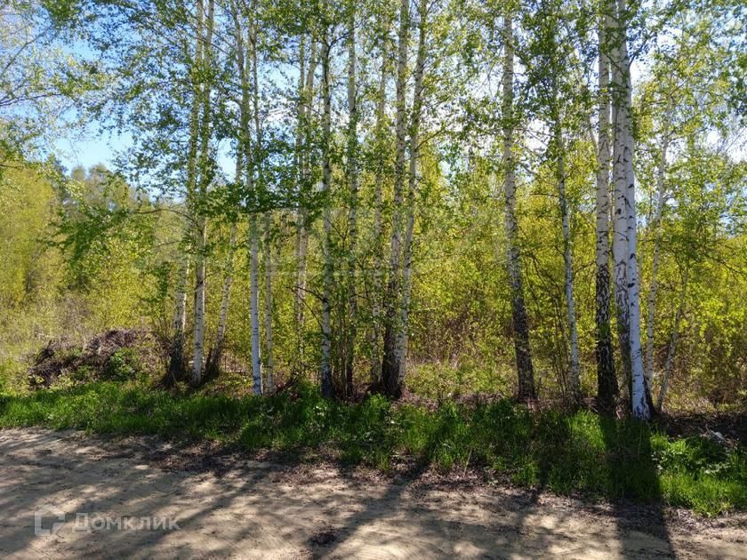 земля г Тюмень городской округ Тюмень, Центральный округ фото 2