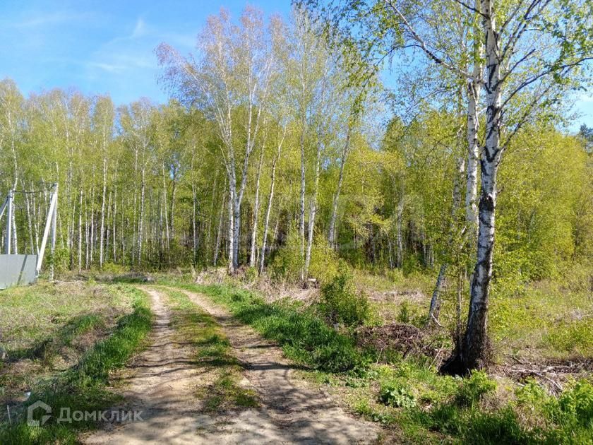 земля г Тюмень городской округ Тюмень, Центральный округ фото 3