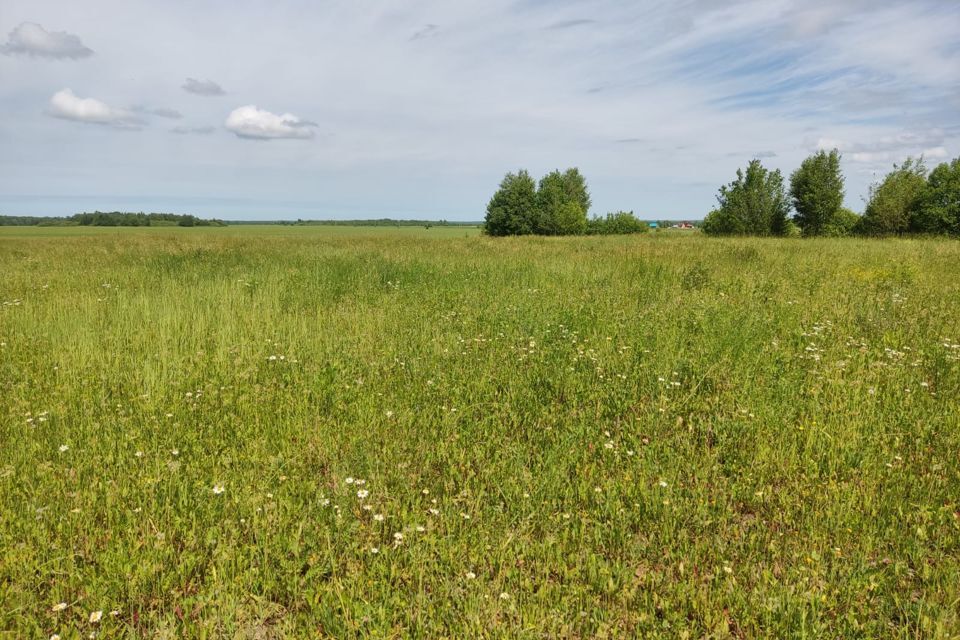 земля р-н Медведевский село Нурма фото 3