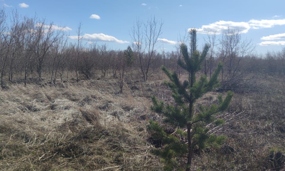 земля г Барнаул п Бельмесево р-н Центральный городской округ Барнаул, коттеджный посёлок Радужный фото 4