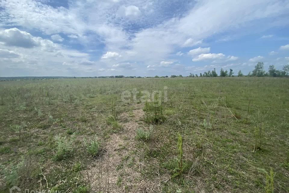 земля р-н Старооскольский село Новокладовое фото 2