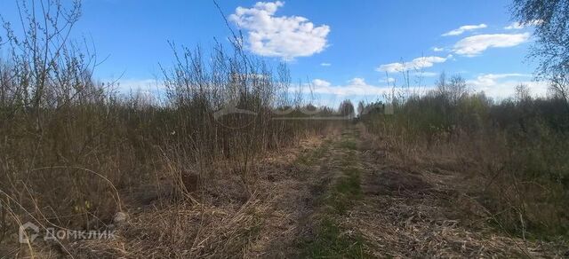 снт Красная Горка ул Трактовая фото