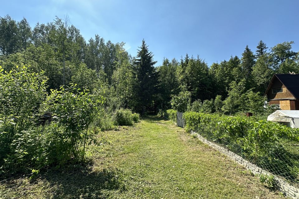 земля Добрянский городской округ, СНТ Ромашка фото 2