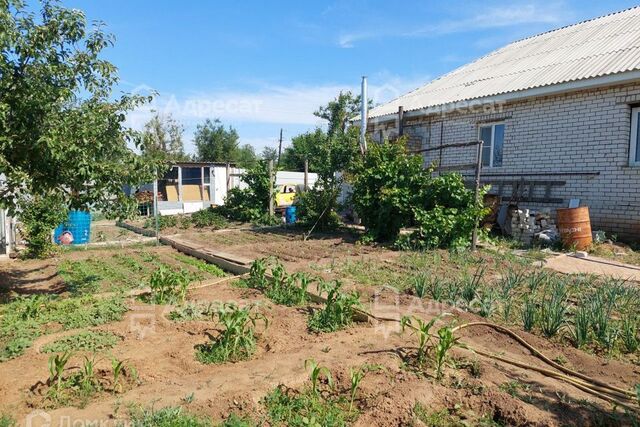 р-н Советский б-р Сиреневый городской округ Волгоград фото