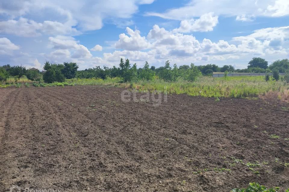 земля р-н Ейский с Александровка ул Совхозная Александровское сельское поселение фото 1