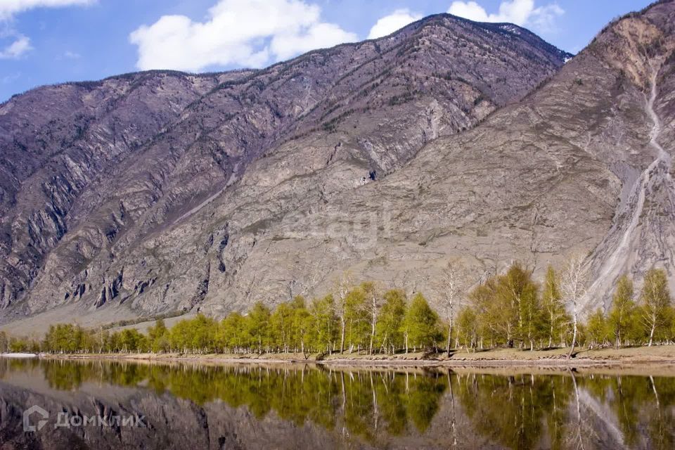 земля р-н Улаганский село Коо фото 1