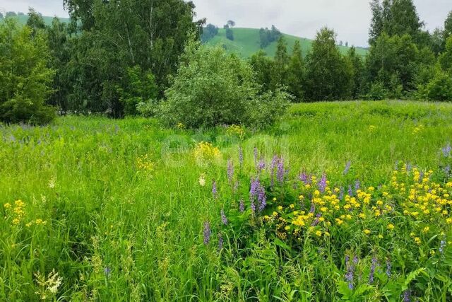 земля ул Молодежная 4 Майминское сельское поселение фото