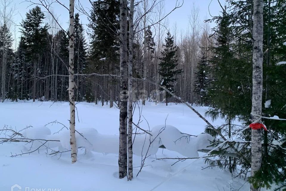 земля г Ханты-Мансийск садово-огородническое товарищество Кузя, городской округ Ханты-Мансийск фото 2