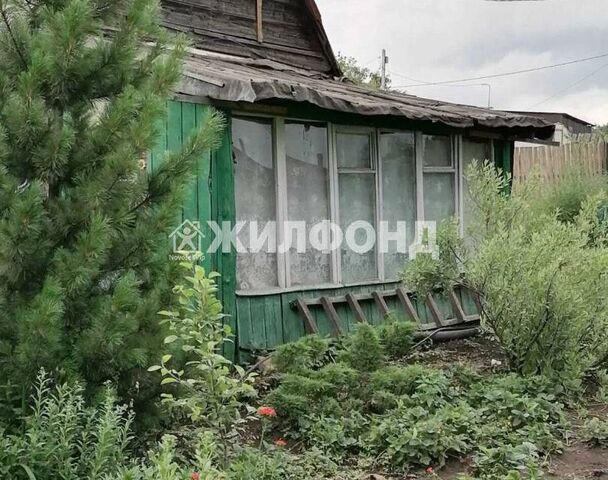 Кемеровская область — Кузбасс, Детсадная, Беловский городской округ фото