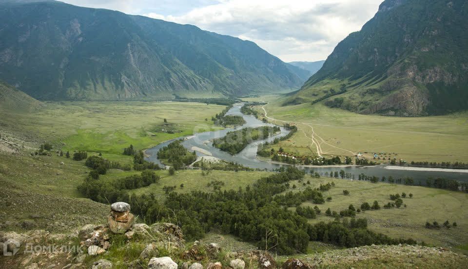 земля р-н Улаганский село Коо фото 4