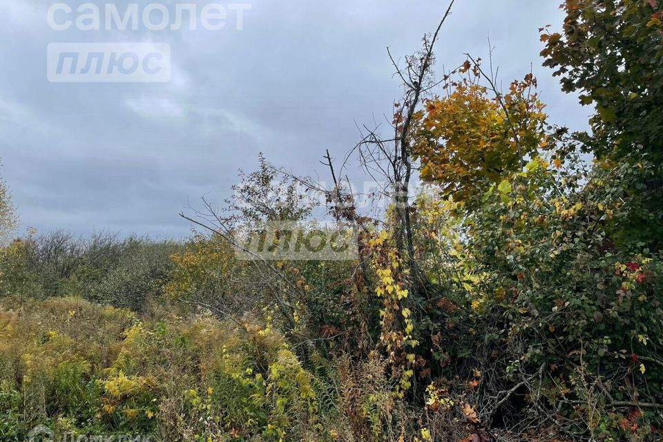 земля р-н Наровчатский с Садовое городской округ Пенза, некоммерческое товарищество Дубрава, 143 фото 3