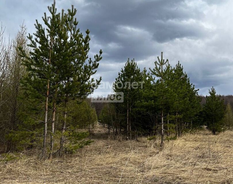 земля г Октябрьский городской округ Октябрьский, Янтарная улица фото 3