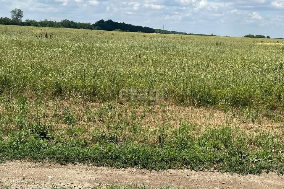 земля р-н Динской ст-ца Нововеличковская ул Красная Нововеличковское сельское поселение фото 5