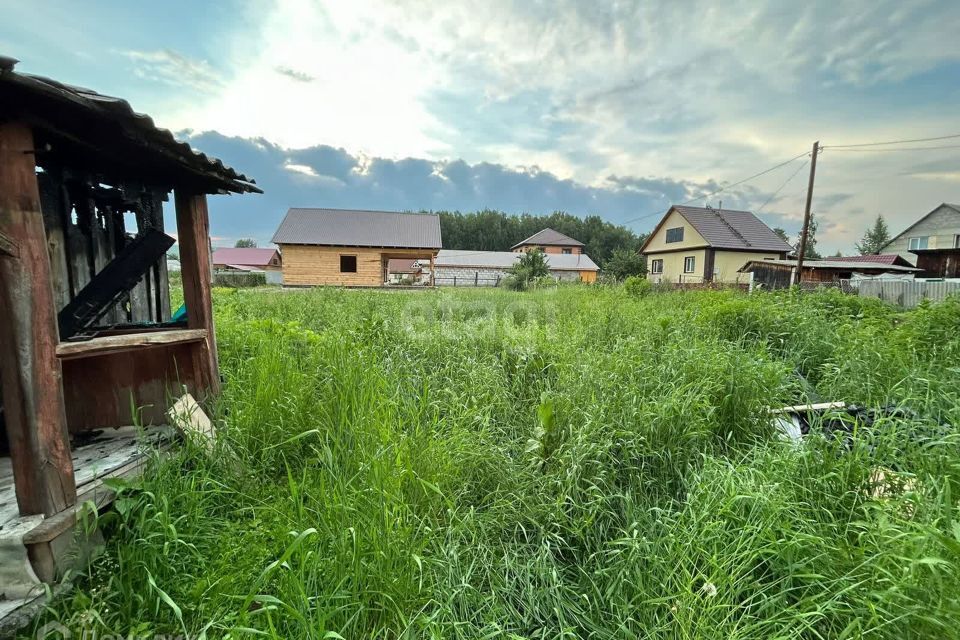 земля р-н Майминский село Майма фото 10