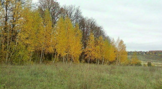 Иваньковское муниципальное образование фото