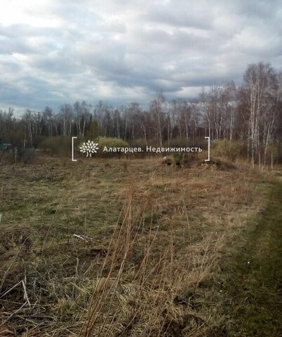 садовое товарищество Надежда-1 фото