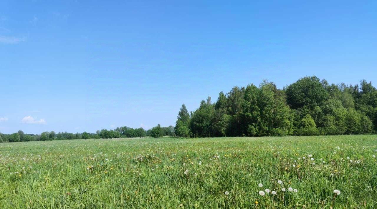 земля р-н Гатчинский д Поддубье фото 1