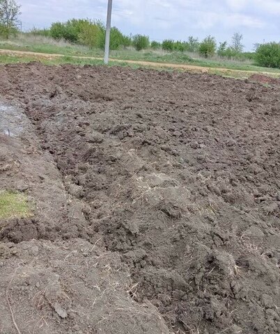 снт Звездное пер Городской дачное некоммерческое товарищество фото