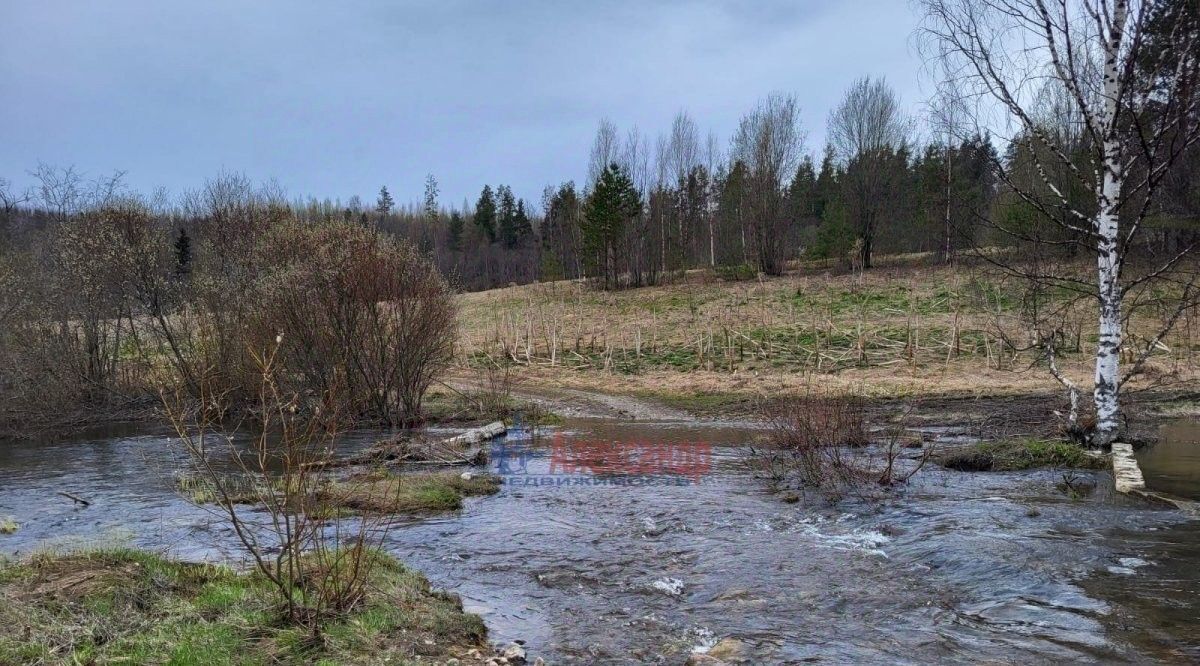 земля г Сортавала п Лавиярви Сортавальский муниципальный округ фото 5