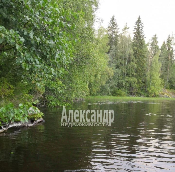 земля р-н Лахденпохский п Пайкъярвенкюля Мийнальское с/пос фото 21