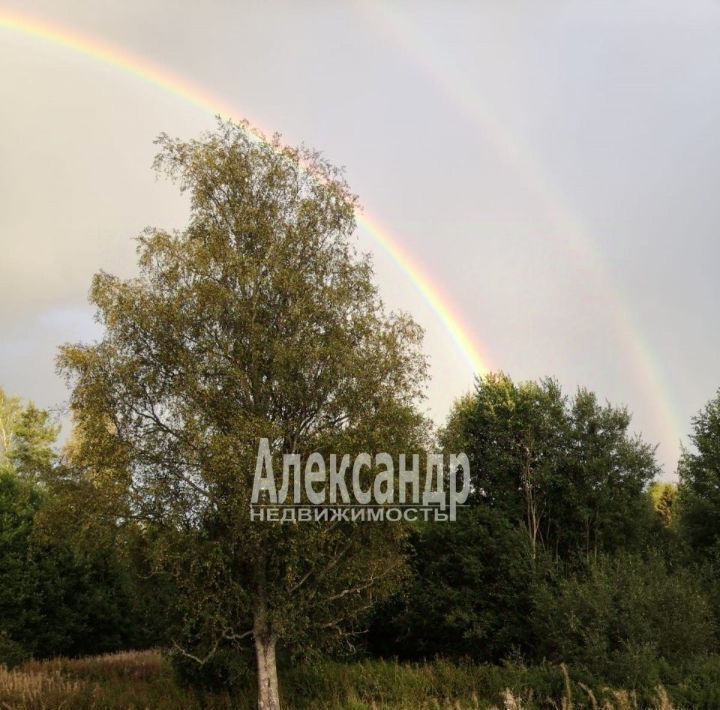 земля р-н Лахденпохский п Пайкъярвенкюля Мийнальское с/пос фото 25