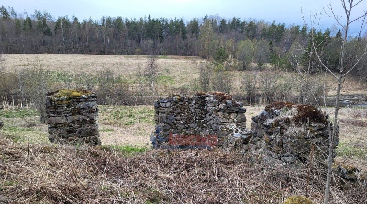 земля г Сортавала п Лавиярви Сортавальский муниципальный округ фото 30