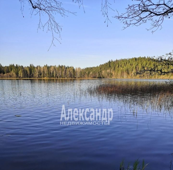 земля р-н Лахденпохский г Лахденпохья ул Полевая фото 20