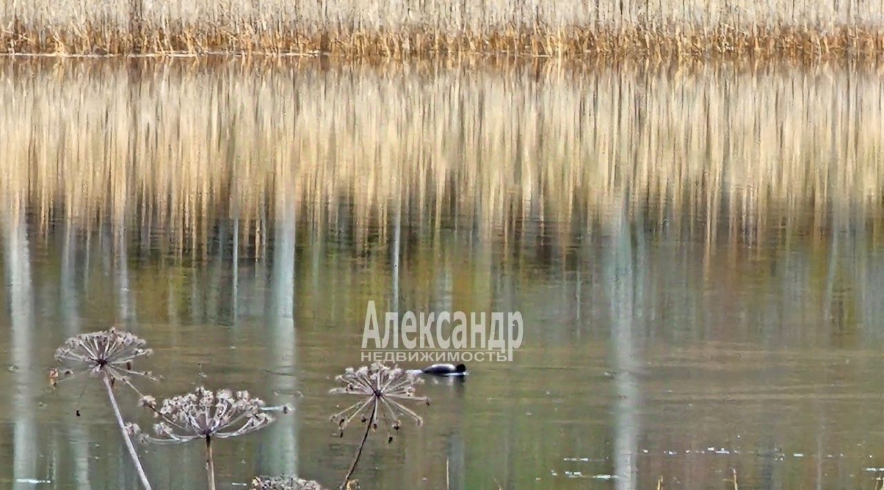 земля р-н Питкярантский д Рауталахти Сортавальский муниципальный округ фото 9