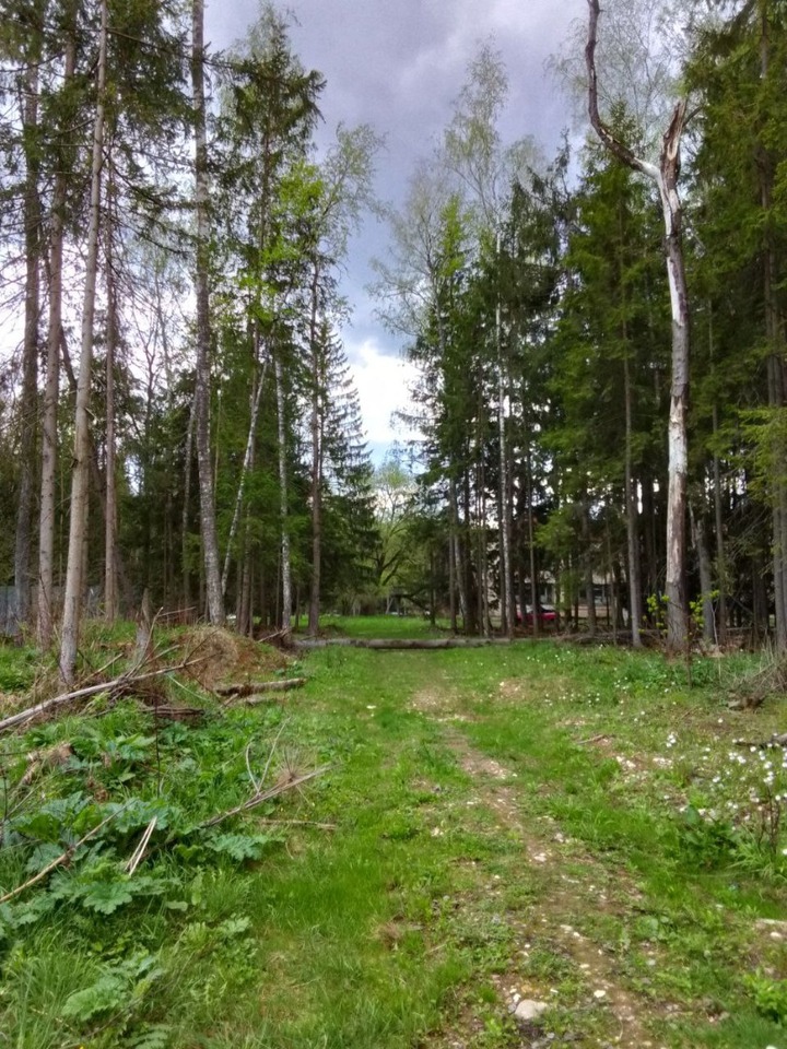 земля р-н Боровский д Киселево венский лес фото 4